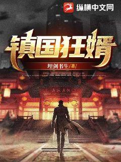 镇国狂婿 短剧