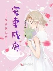 高冷傅先生宠妻成瘾年费阅读