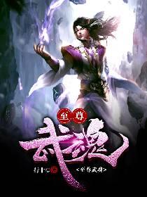 至尊武魂叶尘