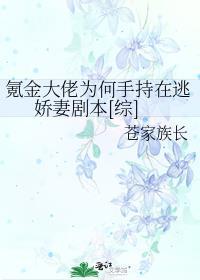 氪金大佬结局