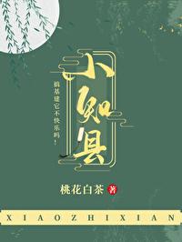 小知县科举