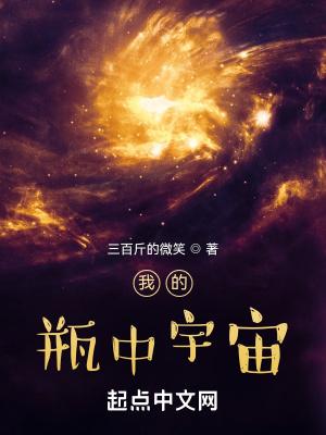 我的瓶中宇宙笔趣阁无错