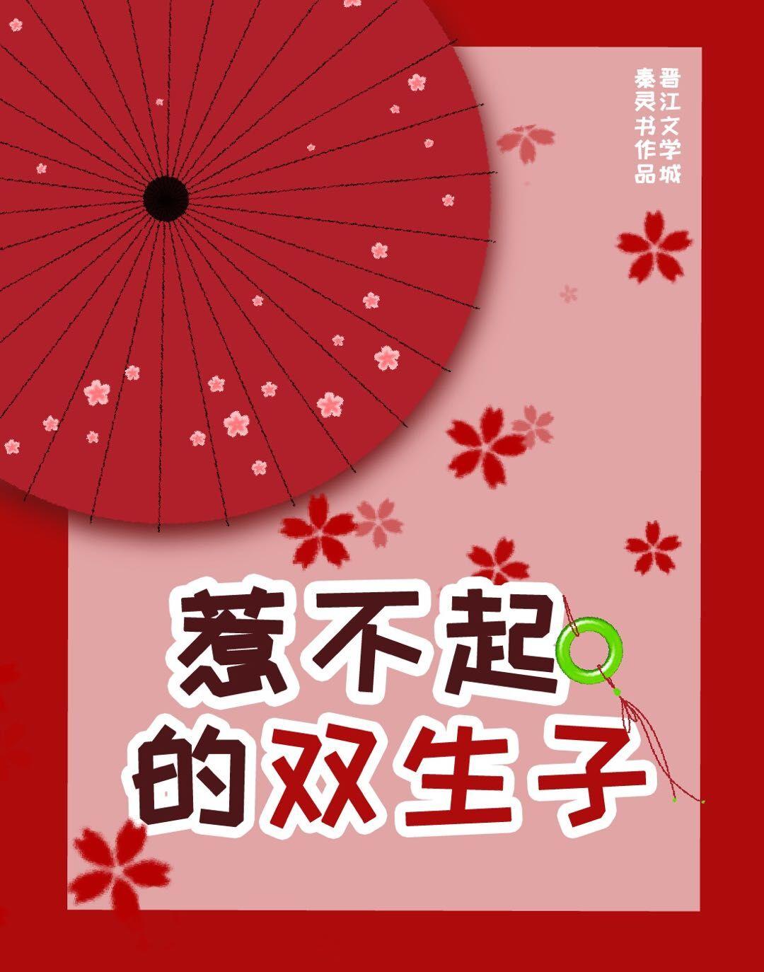 惹不起的双生子又叫什么名字