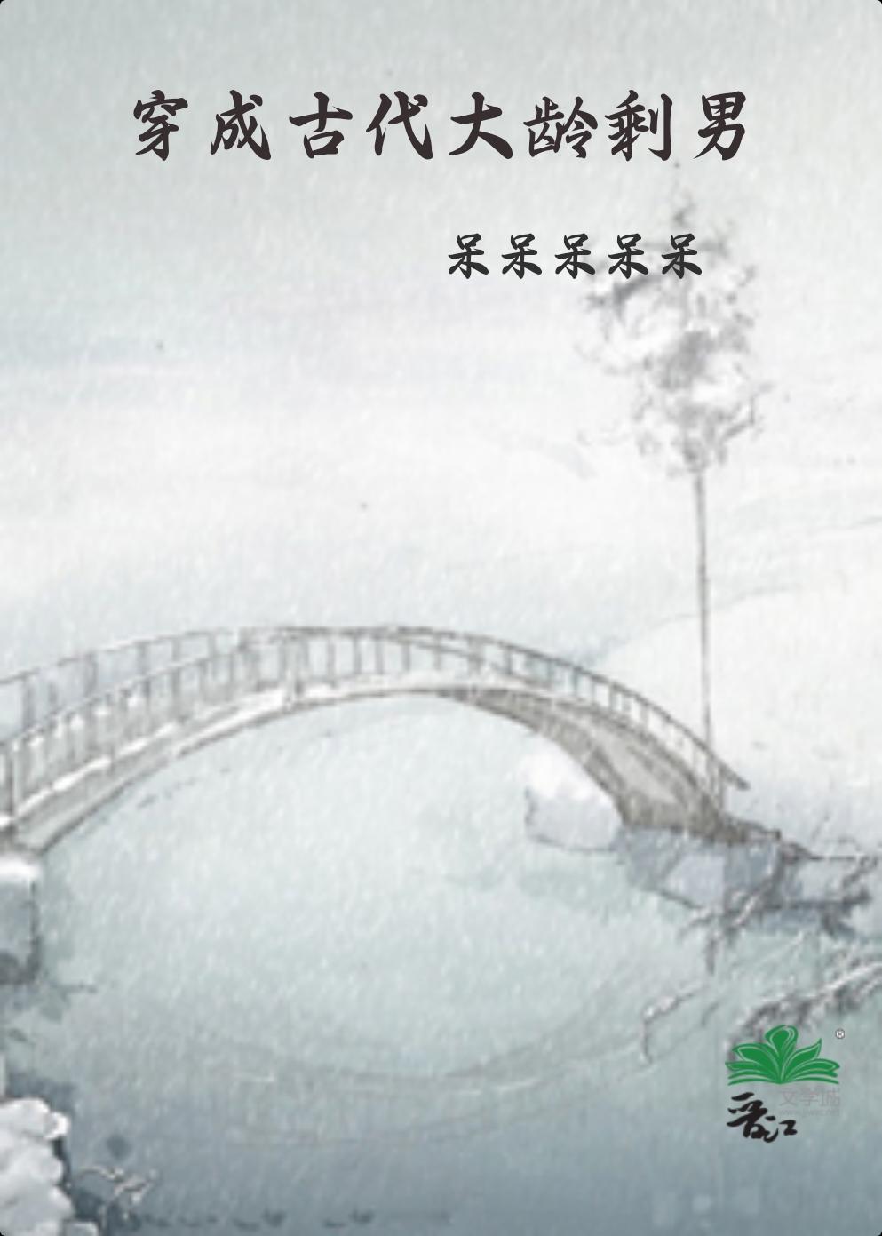 穿成古代大龄剩男全文免费阅读