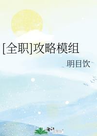 全职攻略模组的作者