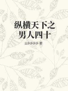 纵横天下无删减