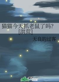 今日抓猫