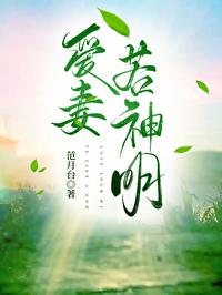 爱妻若神明讲什么内容