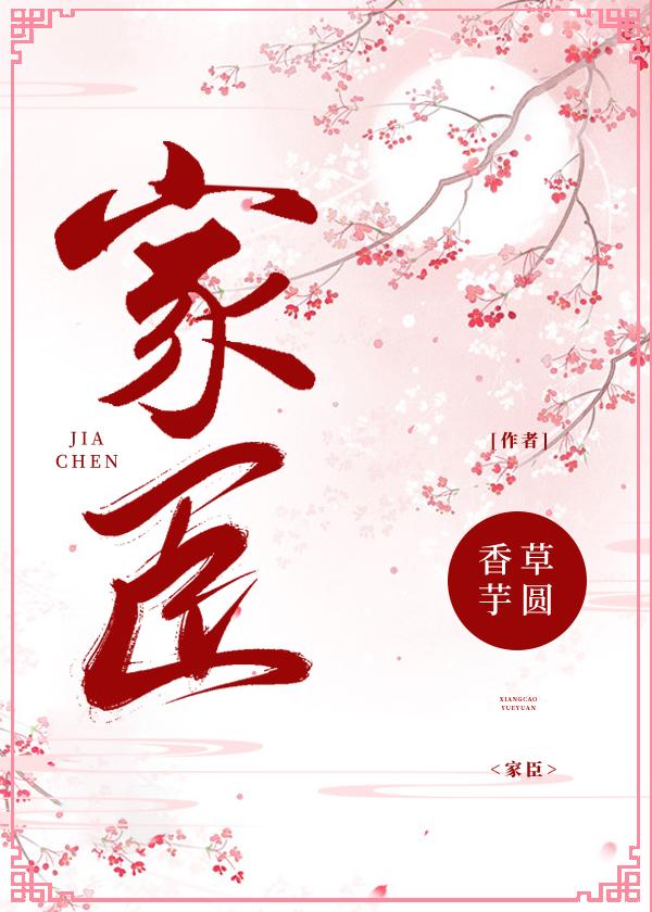 家臣二氧化钛