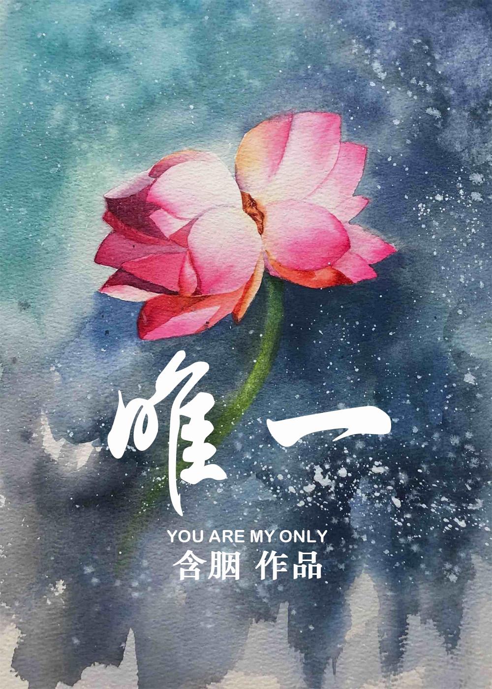 唯一住房会被强制执行吗
