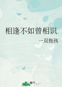 相逢不如不相识的意思