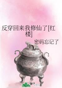 反穿归来我竟成了废柴