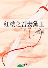 红楼之吾妻黛玉 作者榄风在线