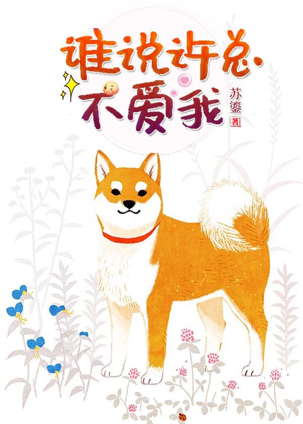 装o后和联姻对象he了免费阅读