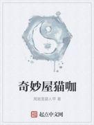 奇妙猫之奇妙世界