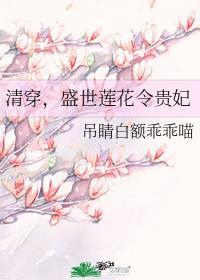 盛世莲花令贵妃