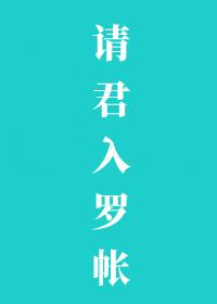 请君入罗帐讲什么