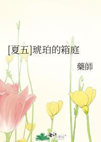 原神琥珀宝箱