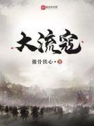 大流寇人物介绍