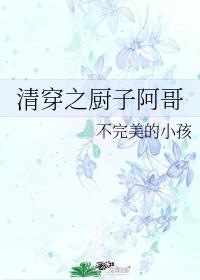 清穿厨师
