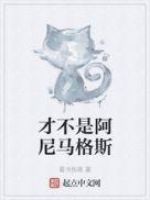 中文版阿尼马格斯测试