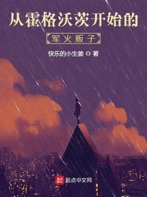 从霍格沃兹开始的军火贩子