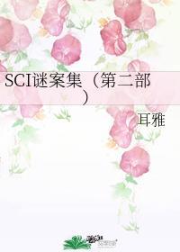 SCI谜案集第二部免费观看