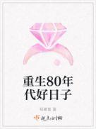 重生8o年代好日子