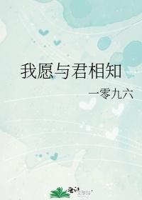 我愿与君相知 一零九六TXT