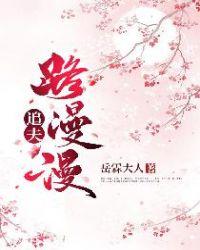 追夫路漫漫的言情