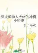 穿成植物人大佬的冲喜小甜妻txt