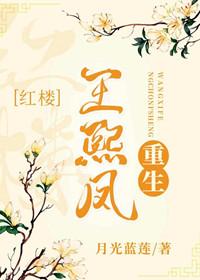红楼王熙凤原身重生文