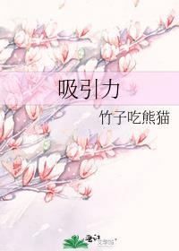 吸引力法则中文版全集