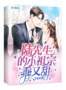 陆爷的小祖宗又撩又飒免费阅读