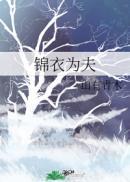 锦衣为夫全文无删减TXT