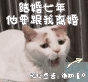 结婚十年想离婚