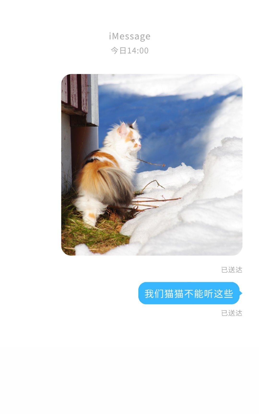 我们猫猫不能听这些百度