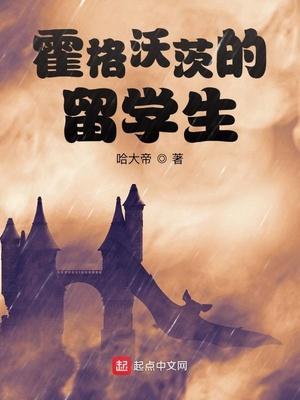 霍格沃茨留学生开无双东方