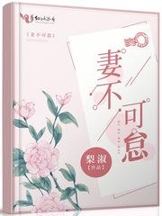 电视剧妻不可期