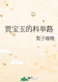 贾宝玉的科举路宝书网