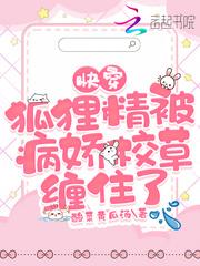 快穿狐狸精炸