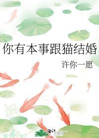 你有本事跟猫结婚了吗