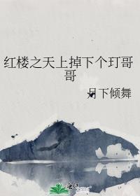 新红楼梦天上掉下个林妹妹
