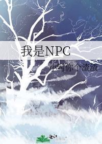 我是NPC但帮玩家打怪