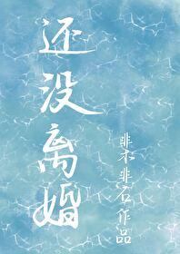 还没离婚买车算不算共同财产
