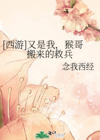 西游又是我猴哥搬来的救兵全文免费