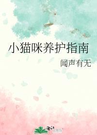 小猫养猫常识