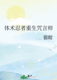 忍术和体术的区别
