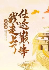成婚后我走上仕途免费阅读
