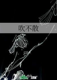 吹不散花落世间的眼泪是什么歌